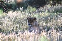 IMG_5038 &ndash; &copy; Annett Müller (Eberhardt TRAVEL)