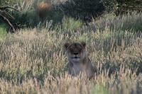 IMG_5039 &ndash; &copy; Annett Müller (Eberhardt TRAVEL)