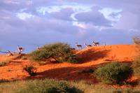 IMG_5050 &ndash; &copy; Annett Müller (Eberhardt TRAVEL)