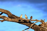 IMG_5066 &ndash; &copy; Annett Müller (Eberhardt TRAVEL)