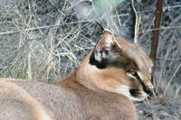 IMG_5153 &ndash; &copy; Annett Müller (Eberhardt TRAVEL)