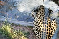 IMG_5163 &ndash; &copy; Annett Müller (Eberhardt TRAVEL)