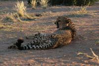 IMG_5178 &ndash; &copy; Annett Müller (Eberhardt TRAVEL)