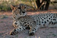 IMG_5190 &ndash; &copy; Annett Müller (Eberhardt TRAVEL)