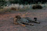 IMG_5193 &ndash; &copy; Annett Müller (Eberhardt TRAVEL)