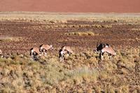 IMG_5217 &ndash; &copy; Annett Müller (Eberhardt TRAVEL)