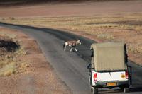 IMG_5220 &ndash; &copy; Annett Müller (Eberhardt TRAVEL)