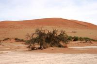 IMG_5302 &ndash; &copy; Annett Müller (Eberhardt TRAVEL)