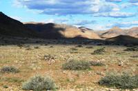 Unterwegs in Namibia &ndash; &copy; Annett Müller (Eberhardt TRAVEL)