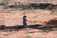 IMG_5377 &ndash; &copy; Annett Müller (Eberhardt TRAVEL)