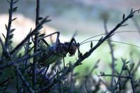 IMG_5406 &ndash; &copy; Annett Müller (Eberhardt TRAVEL)