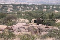 IMG_6043 &ndash; &copy; Annett Müller (Eberhardt TRAVEL)