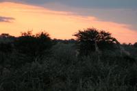 IMG_6192 &ndash; &copy; Annett Müller (Eberhardt TRAVEL)