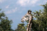 IMG_6238 &ndash; &copy; Annett Müller (Eberhardt TRAVEL)
