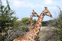 IMG_6244 &ndash; &copy; Annett Müller (Eberhardt TRAVEL)