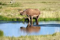 IMG_6292 &ndash; &copy; Annett Müller (Eberhardt TRAVEL)