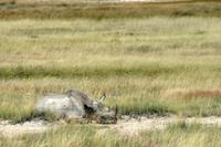 IMG_6365 &ndash; &copy; Annett Müller (Eberhardt TRAVEL)