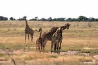 IMG_6389 &ndash; &copy; Annett Müller (Eberhardt TRAVEL)