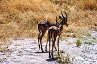 IMG_6421 &ndash; &copy; Annett Müller (Eberhardt TRAVEL)