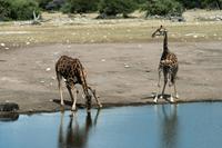 IMG_6441 &ndash; &copy; Annett Müller (Eberhardt TRAVEL)