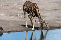 IMG_6451 &ndash; &copy; Annett Müller (Eberhardt TRAVEL)