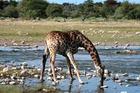 IMG_6492 &ndash; &copy; Annett Müller (Eberhardt TRAVEL)