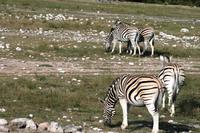 IMG_6495 &ndash; &copy; Annett Müller (Eberhardt TRAVEL)