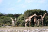 IMG_6498 &ndash; &copy; Annett Müller (Eberhardt TRAVEL)