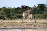 IMG_6500 &ndash; &copy; Annett Müller (Eberhardt TRAVEL)