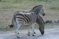 IMG_6501 &ndash; &copy; Annett Müller (Eberhardt TRAVEL)