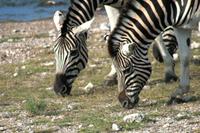 IMG_6514 &ndash; &copy; Annett Müller (Eberhardt TRAVEL)