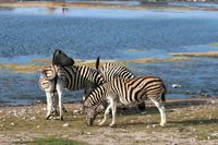 IMG_6517 &ndash; &copy; Annett Müller (Eberhardt TRAVEL)