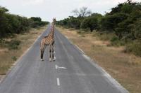 Verabschiedungskomitee &ndash; &copy; Annett Müller (Eberhardt TRAVEL)