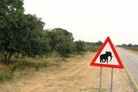 Im Caprivi &ndash; &copy; Annett Müller (Eberhardt TRAVEL)