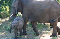 IMG_7304 &ndash; &copy; Annett Müller (Eberhardt TRAVEL)