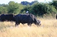 IMG_7411 &ndash; &copy; Annett Müller (Eberhardt TRAVEL)