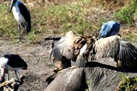 IMG_7451 &ndash; &copy; Annett Müller (Eberhardt TRAVEL)