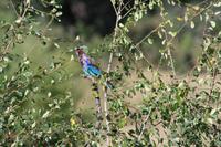 IMG_7454 &ndash; &copy; Annett Müller (Eberhardt TRAVEL)