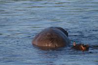 IMG_7526 &ndash; &copy; Annett Müller (Eberhardt TRAVEL)