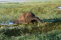 IMG_7607 &ndash; &copy; Annett Müller (Eberhardt TRAVEL)