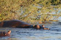IMG_7759 &ndash; &copy; Annett Müller (Eberhardt TRAVEL)