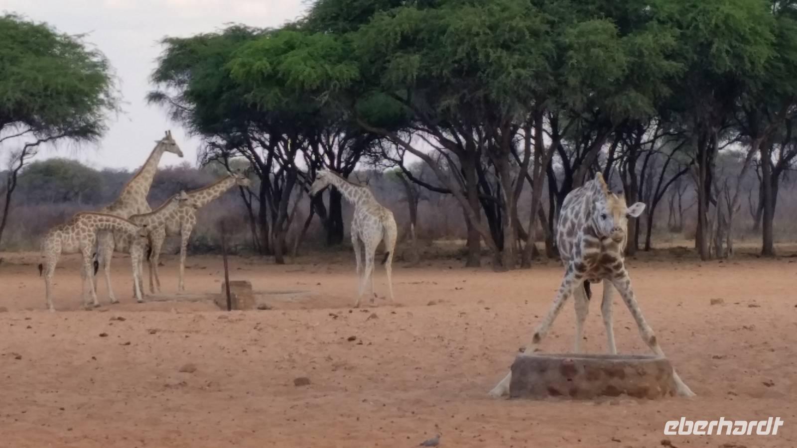 20140925_173854 &ndash; &copy; Doreen Päßler (Eberhardt TRAVEL)