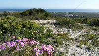 20140911_160953 &ndash; &copy; Doreen Päßler (Eberhardt TRAVEL)