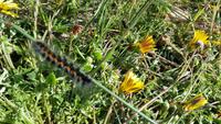 20140911_161812 &ndash; &copy; Doreen Päßler (Eberhardt TRAVEL)