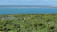20140911_162726 &ndash; &copy; Doreen Päßler (Eberhardt TRAVEL)