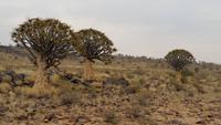 20140914_110034 &ndash; &copy; Doreen Päßler (Eberhardt TRAVEL)
