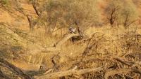 20140916_073311 &ndash; &copy; Doreen Päßler (Eberhardt TRAVEL)