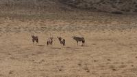 20140916_094451 &ndash; &copy; Doreen Päßler (Eberhardt TRAVEL)