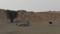 20140916_164915 &ndash; &copy; Doreen Päßler (Eberhardt TRAVEL)