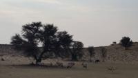 20140916_164924 &ndash; &copy; Doreen Päßler (Eberhardt TRAVEL)